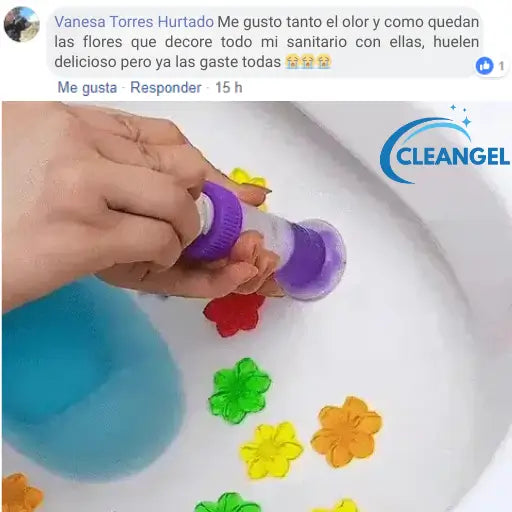 MEGA SET AMBIENTADOR PARA EL HOGAR CLEAN GEL®